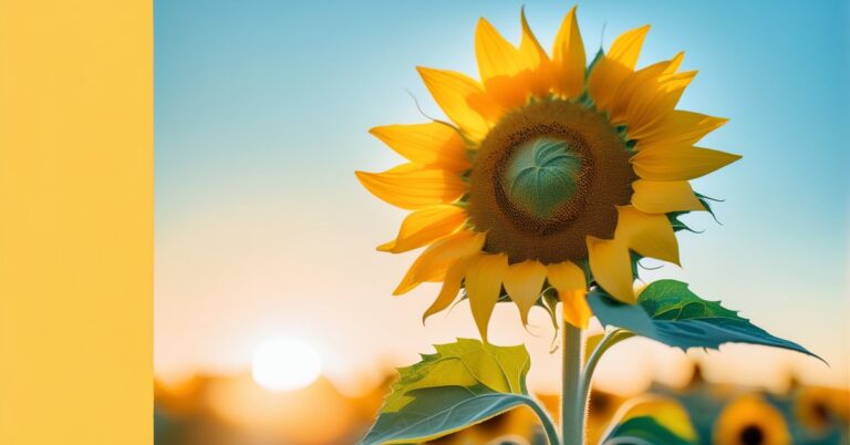 Krótkie cytaty o uśmiechu: Najpiękniejsze i inspirujące słowa